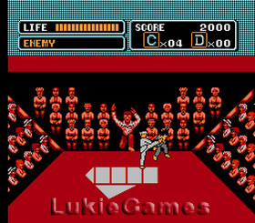 The Karate Kid - NES Nintendo Game