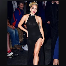 Lady Gaga 018 | 8 x 10 Photograph | Celebrity Singer, Beautiful Woman