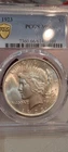 1923 PEACE SILVER DOLLAR PCGS MS66