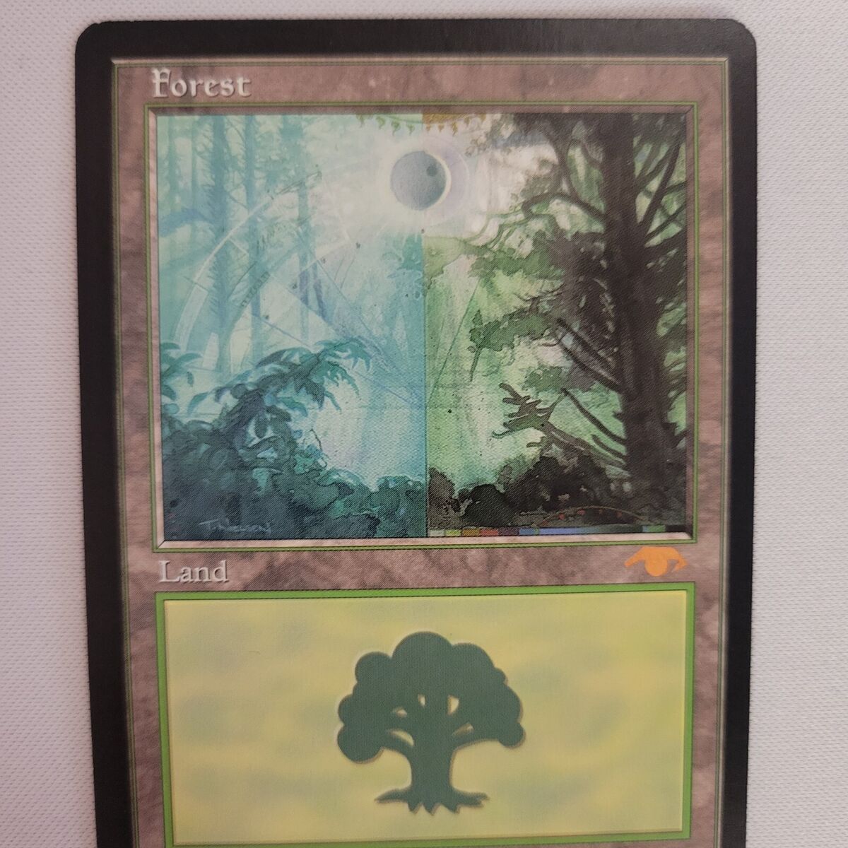 Guru Forest English Land MTG Magic the Gathering | eBay Guru Forest English Land MTG Magic the Gathering | eBay