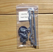 W:AOS Lumineth Realm-Lords _Warden w/ Wardens Pike Blind Buy Single Figure