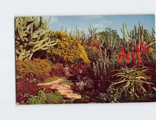 Postcard Moir's Pa'u-a-Laka gardens Koloa Kauai Hawaii USA