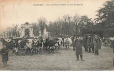 28 CHARTRES #SAN47779 VIEW TAKEN PLACE CHATELET A DAY OF WALKING COW AGRICULTURAL