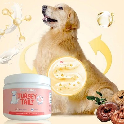 for Dogs - Bacon Flavor - Organic Mushroom Powder Turkey Tail Mushroom