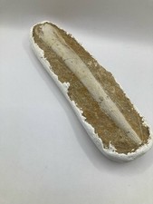 Rare Large Mosasaur Rib Fossil in matrix Cretaceous Marine Reptiles From Morocco