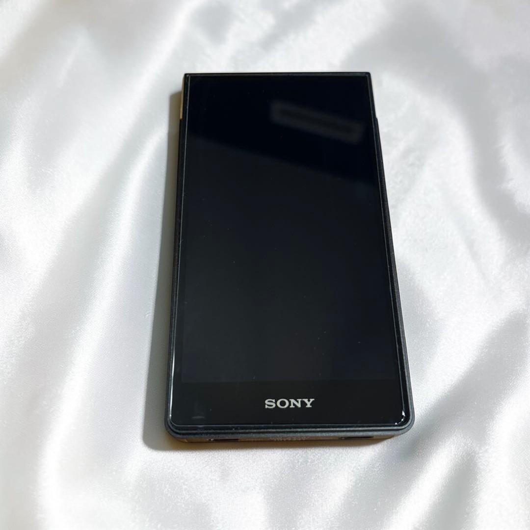 EXC] Sony Walkman NW-ZX707 Bocchi the Rock Collaboration Model