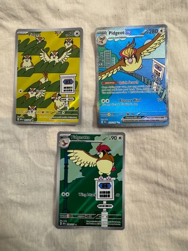 Pidgey Pidgeotto & Pidgeot EX 225/197 Illustration Rare NM Pokemon Obsidian Set