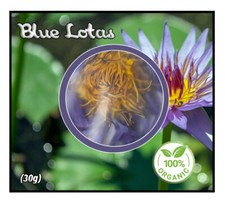 Blue Lotus Blue Nymphaea Caerulea Egyptian Sacred Lotus Dried Whole Flowers
