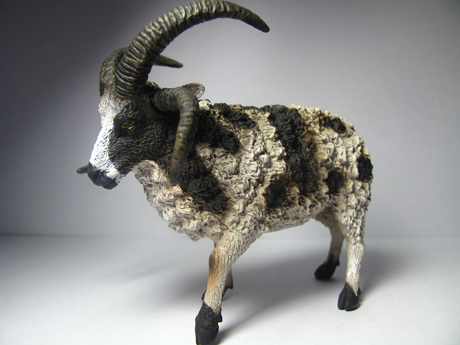 特撮 Sheep Meet the 'cutest sheep in the world,' Valais Blacknose sheep at