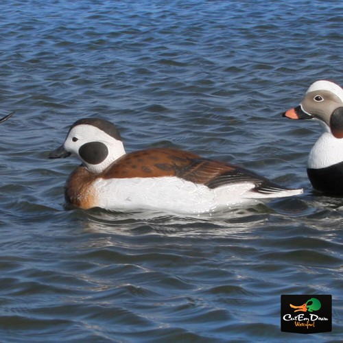 AVERY OUTDOORS GHG COMMERCIAL GRADE LONG-TAILED DUCK DECOYS - 6 PACK - Picture 2 of 4