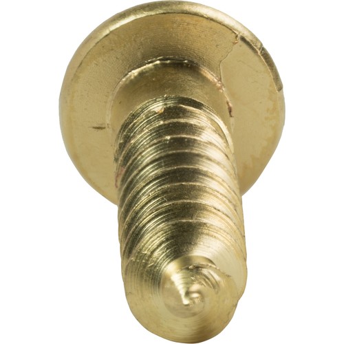 #12 x 1-3/4" Brass Round Head Wood Screws Slotted Drive Qty 1000 - Picture 3 of 4