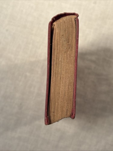 Beautiful Joe~ An Autobiography by Marshall Saunders 1893 HC Phoenix Edition - Picture 5 of 17