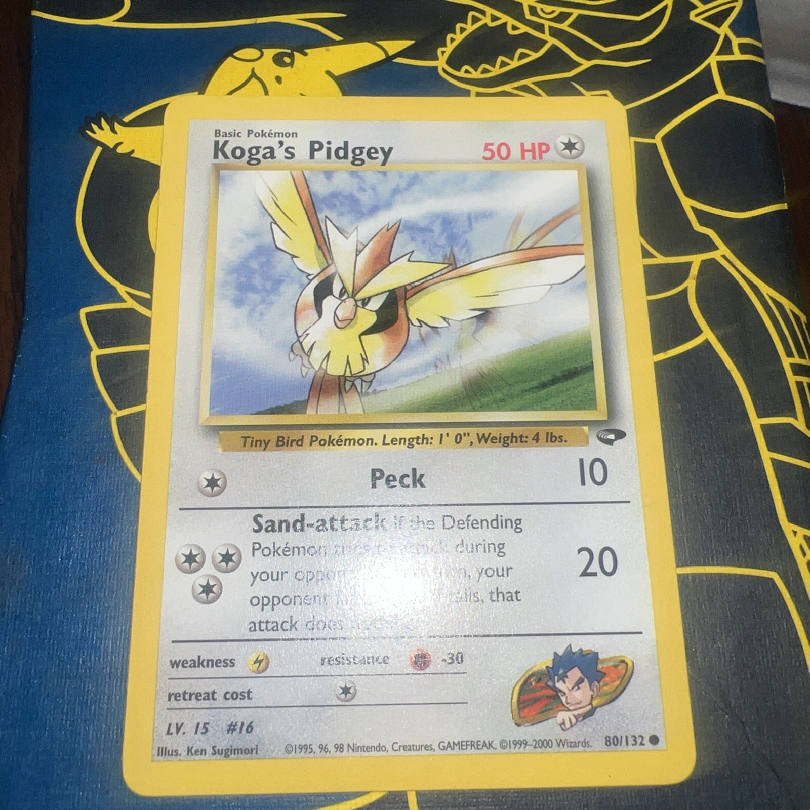 Pokémon TCG Koga's Pidgey Gym Challenge 80 Regular 1st Edition Common