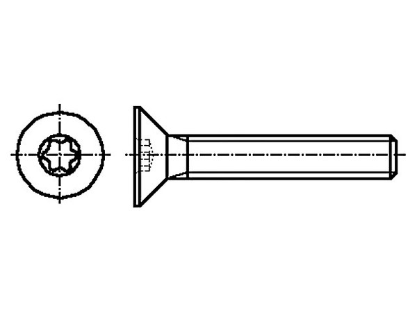 100X M2X4/BN3803 ISO14581 3061665 Schraube M2X4 0,4 Kopf: Senkkopf Torx® TX06 A2-image