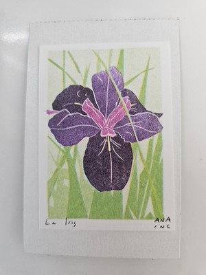 La Iris (NOLA) Dirty Coast Ana Inciardi Mini Print