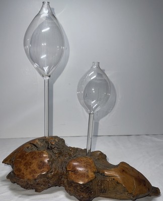 Burl Wood Slab Live Edge Oil Lamps Boho Bohemian 