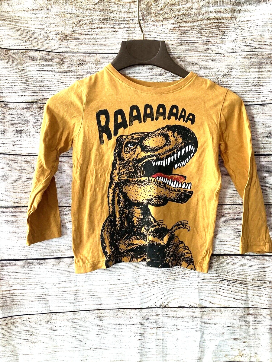 Camisa Primark Dinosaur Ni os 5 6 a os Primark
