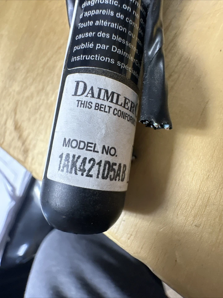 Grand Caravan Town & Country 2005-2007 gris diestro PSGR hebilla de cinturón de seguridad lateral OEM Foto 2 de 4