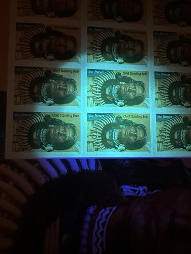 100 Stamps Chief Standing Bear 5 Pane of 20 USPS Forever Stamps Scott# 5798 - Picture 3 of 3