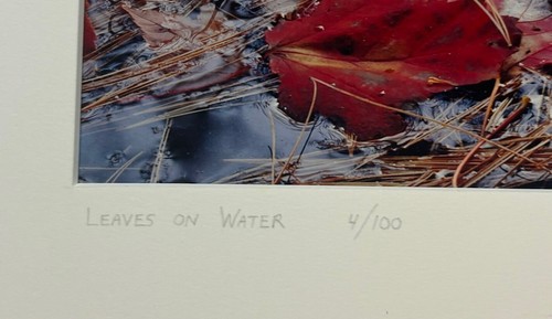 Original JOHN WAWRZONEK 'Leaves on Water' AUTUMN RED Landscape Signed PHOTOGRAPH - Picture 5 of 14