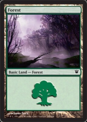 1 x Forest (262) - Foil - Innistrad - Light Play - MTG | eBay