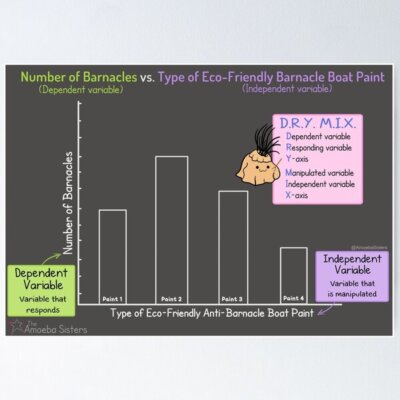 NEW! Best Design Independent Variable vs Dependent Variable Poster