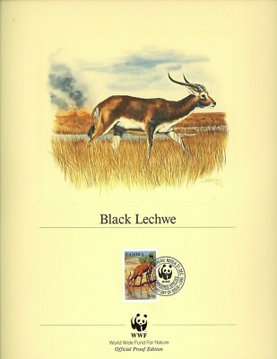 Postal History WWF FDC PANELS Zambia #427-430 Black Lechwe Antelope ...