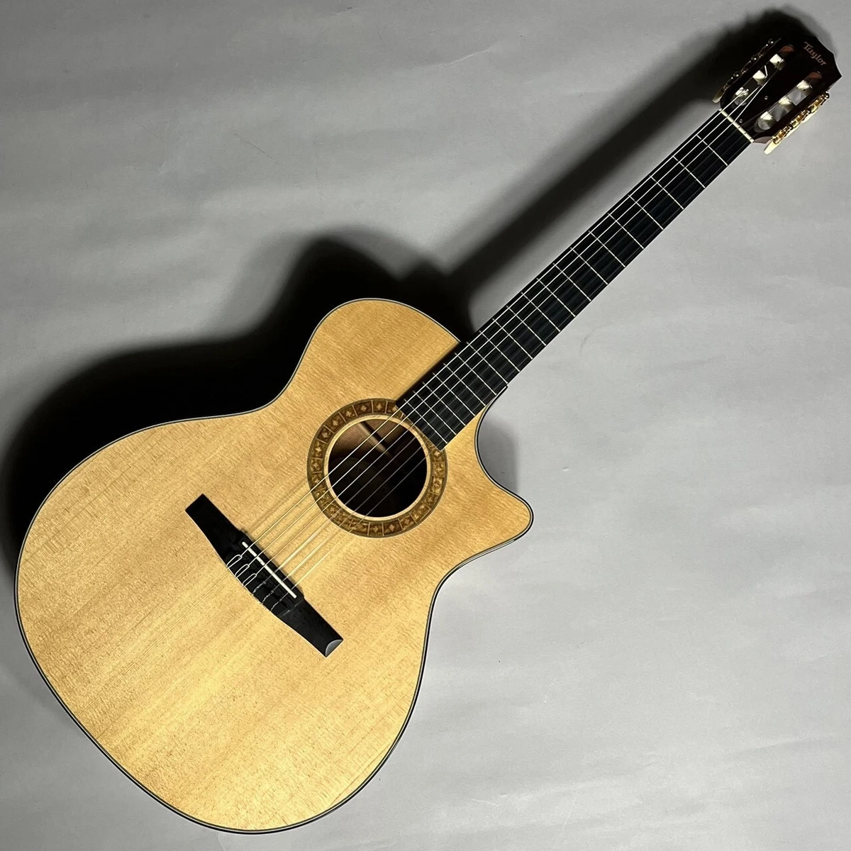 Taylor NS34CE Electric Acoustic Guitar with Soft Case