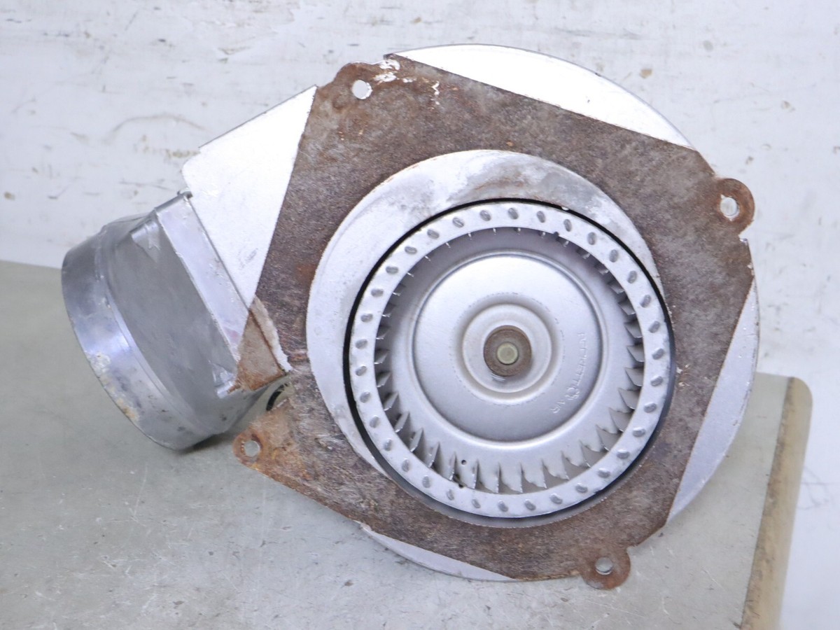 良好　送料込　Lifter Puller Fiestas+Fiascos Amazon.com: Lift Supports Depot Qty (2) Fits Most 14