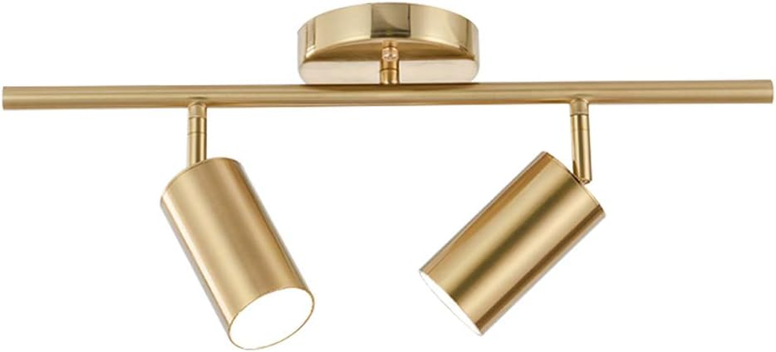 Lighting Modern 2-Light Gold Track Lighting Fixture Flush Mount Brushed Brass Tr