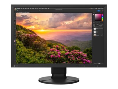EIZO ColorEdge CS2400S CS Series LED-Monitor 61 cm (24) ~D~