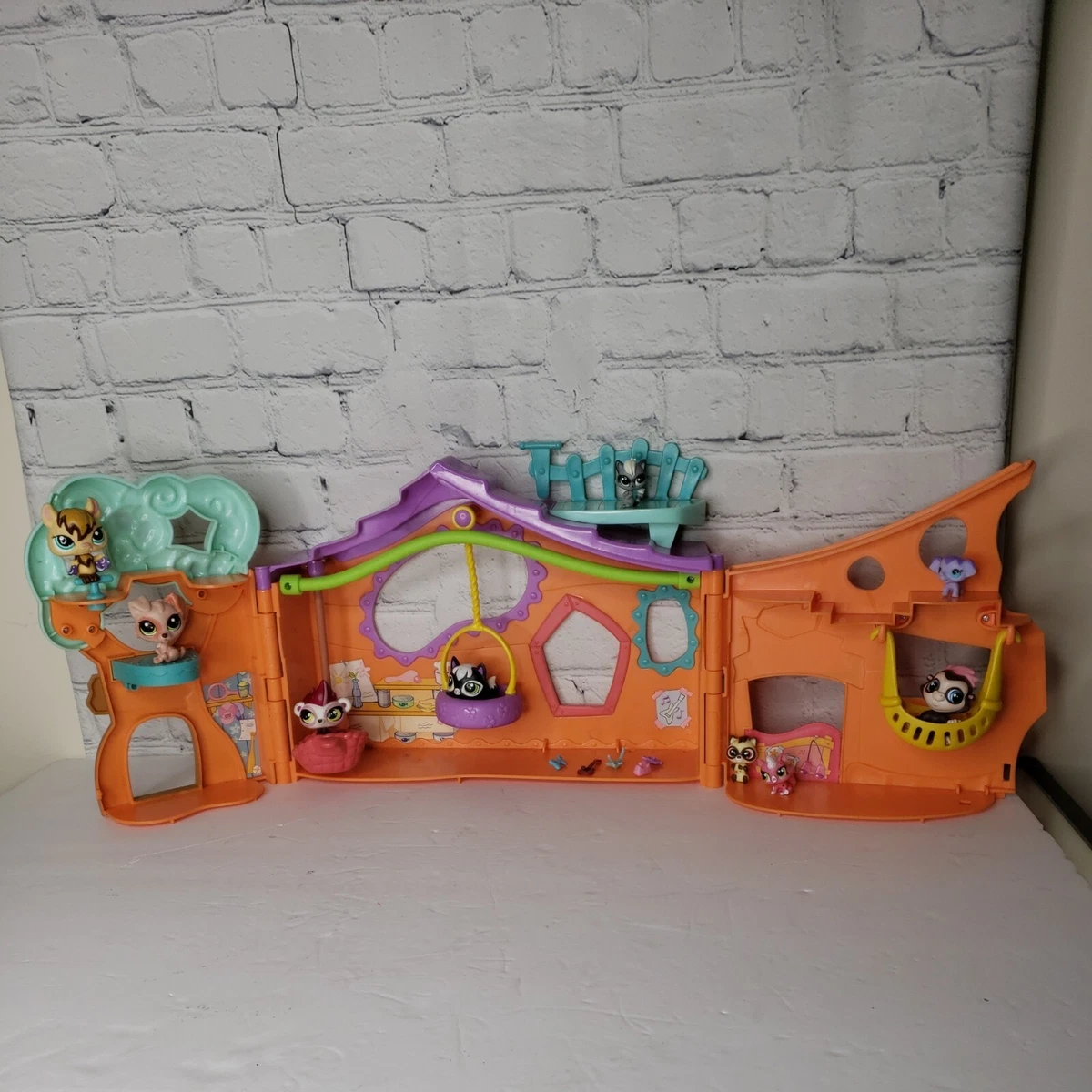 Orange pet shop discount