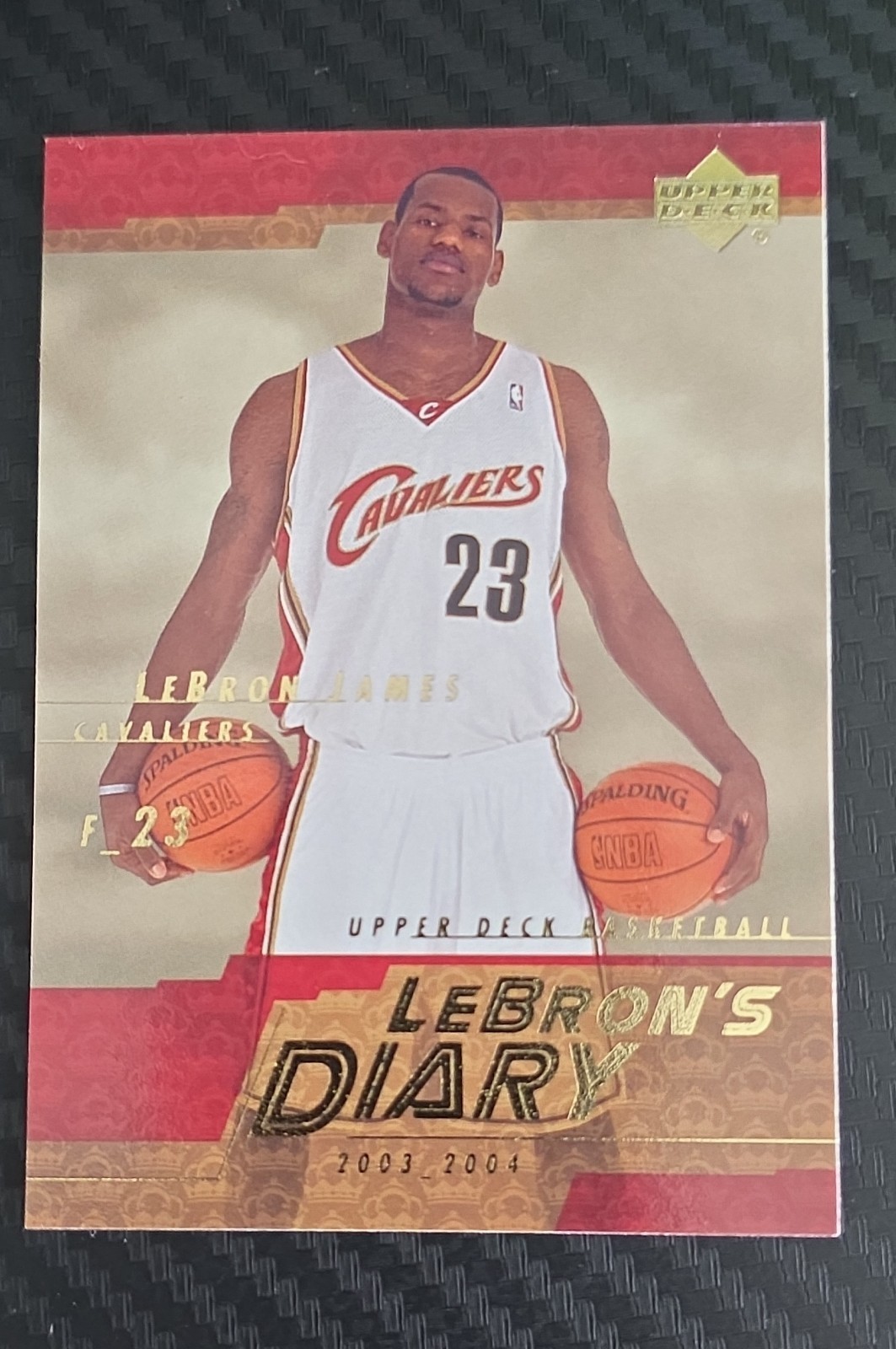 2003-04 Upper Deck - Lebron's Diary LeBron James #LJ8 (RC)