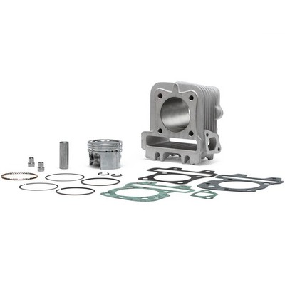 THERMISCHE GRUPPE 4STOKE MALOSSI D.49 FÜR PIAGGIO ZIP 3V I-GET 50 ie 4T Euro 4 201