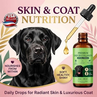Clover Collagen For Dogs, Joint Mobility Support, Skin And Coat Supplement Drops