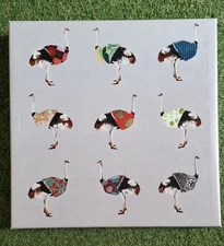 Square Stretched Canvas Giclée Print Featuring Safari Wear Ostriches
