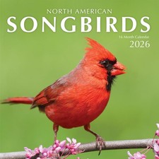 2026 Songbirds Hangable Wall Calendar Monthly Beautiful 2026