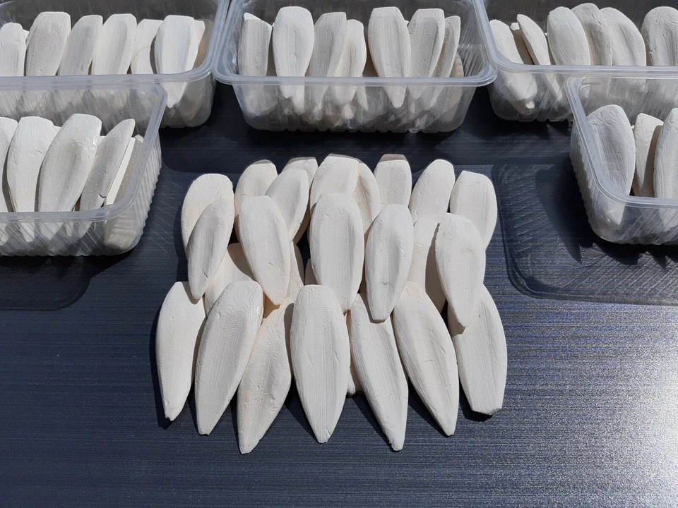 300 g Sepiaschalen (ca. 30 Stück) - 1A TOP Qualität - Vögel, Sepiaschale