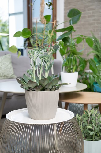 Blumentopf Pflanztopf Übertopf sehr DEKORATIV 11 Farben 7 Größen TOP !!! - Bild 5 von 31