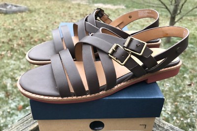 corgi jacket for humans