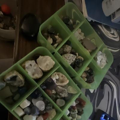 Mixed Rocks, Minerals & Crystals Collection in Green Organizer Display