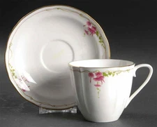 Spode Rosetti Cup & Saucer 685697