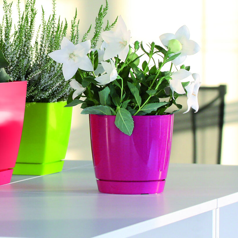 Prosper Plast Coubi Blumentopf Mit Untersetzer – 24x24x22 Cm, 8,2 Liter, Dunkelgrau, UV-beständig