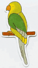 Picture 19 of 26