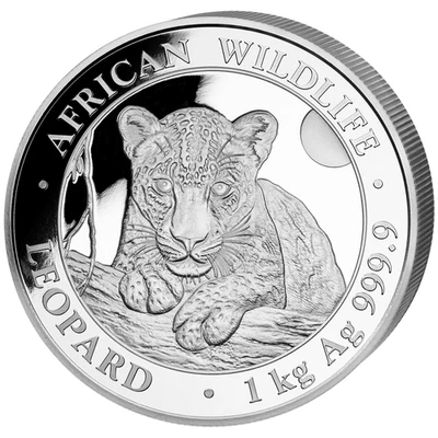 Silver Coin 1kg Leopard African Wildlife 2025 - Somalia - BU - Image 1 of 2