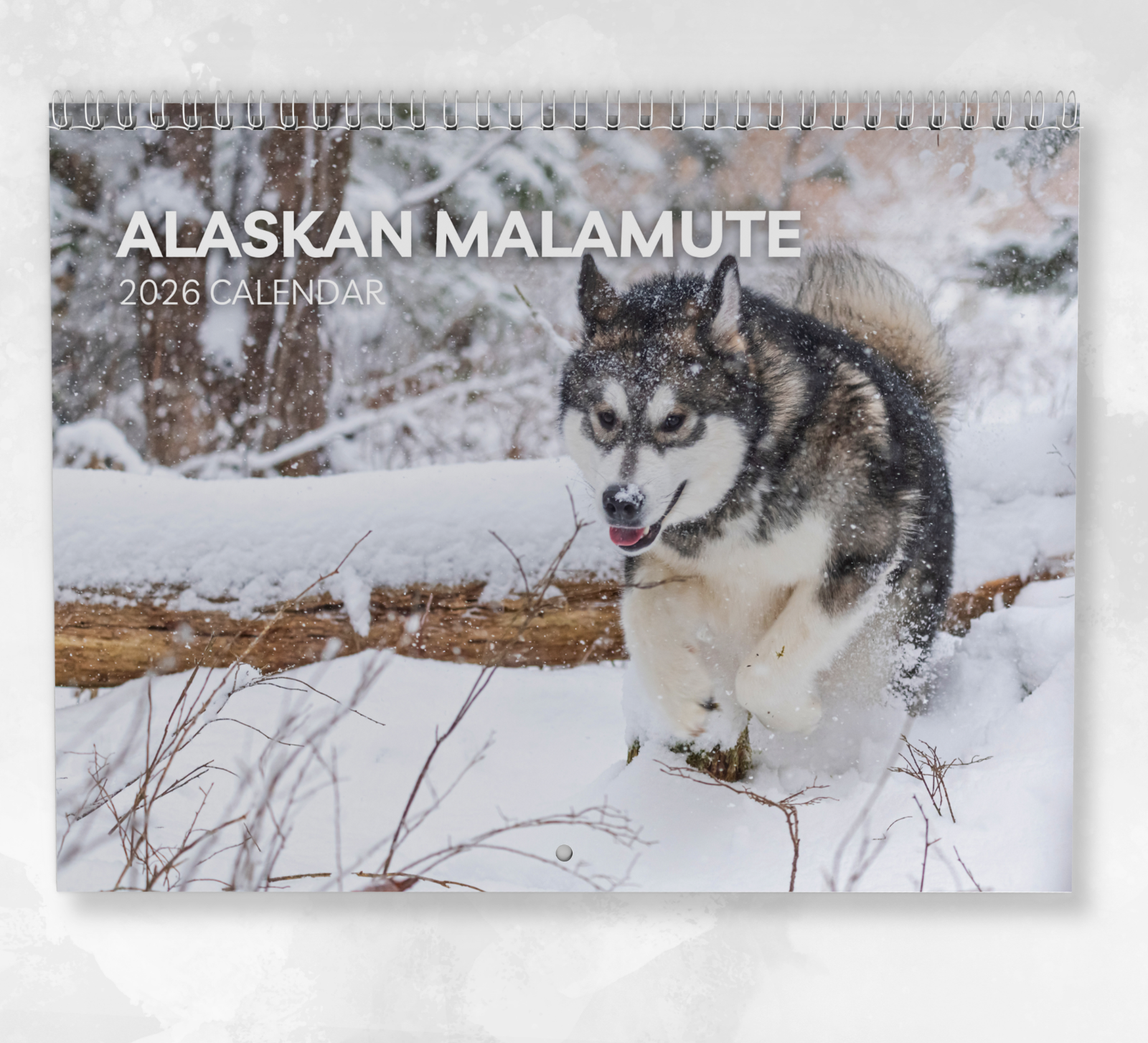 Alaskan Malamute Calendar 2026: Monthly Wall Calendar with Notes, opens to A3