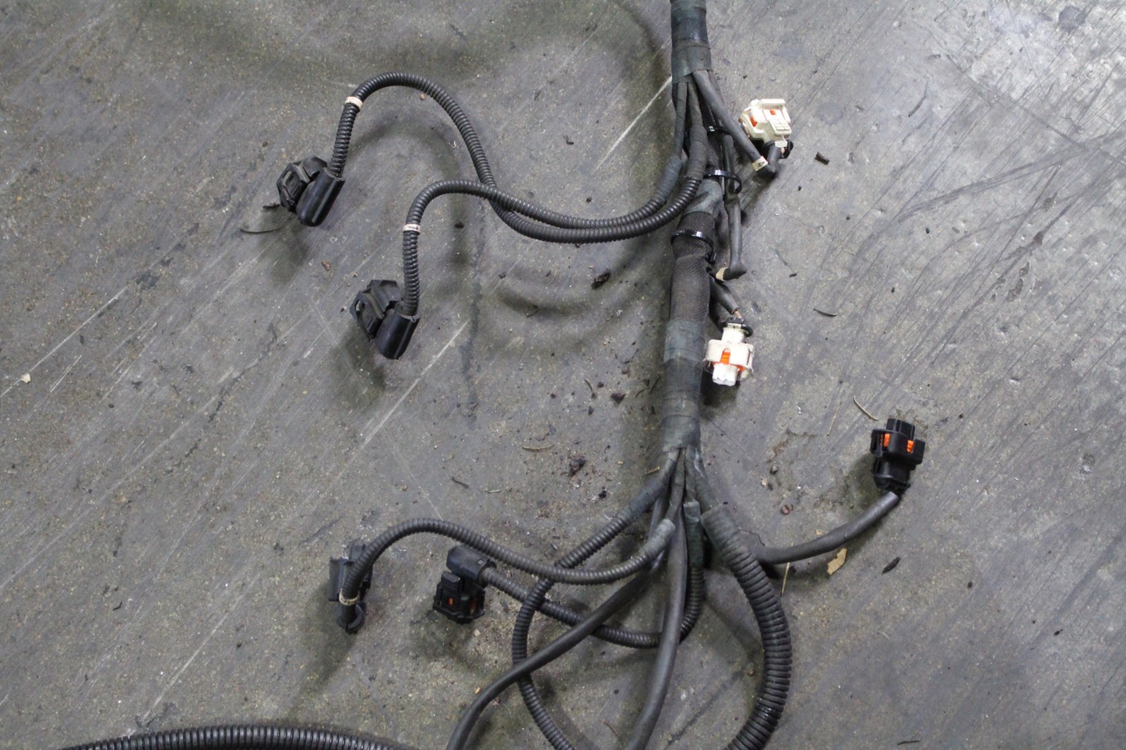 Ferrari 360 Spider Left Engine wiring harness P/N 179168