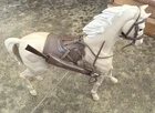 Marx Comanche Moveable Cavalry Horse Johnny West 1967