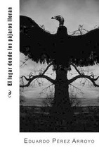 El lugar donde los pjaros lloran by Eduardo Perez Arroyo (Spanish) Paperback Boo