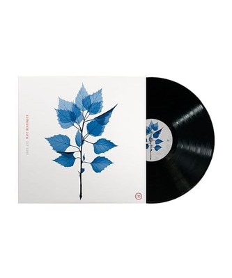 Get Sunk (Lp) [Vinyl LP]